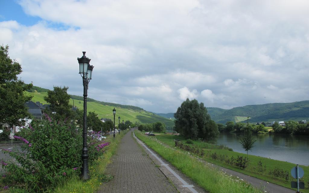 Mosel - River - Quartier 31 Hotel Lieser Bagian luar foto